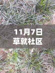 友谊的种子在草就社区新地址生根发芽，奇妙一天纪念11月7日新址落成日