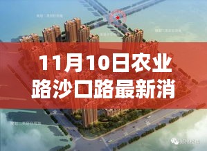 农业路沙口路科技新纪元揭秘，高科技产品引领未来生活新篇章体验日活动报道