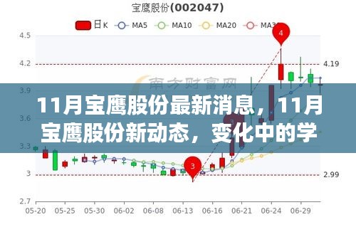 11月宝鹰股份新动态，变化中的学习之旅，自信与成就感的源泉