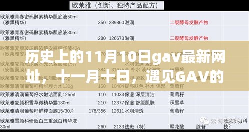 历史上的11月10日，遇见GAV的日子，爱与陪伴的温馨故事及最新网址揭秘