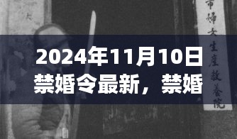 多维探讨，最新禁婚令动态与社会议题深度解读（最新资讯，2024年11月）