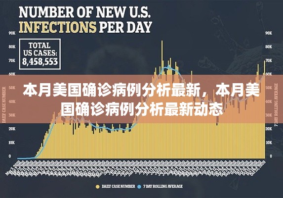 本月美国确诊病例最新动态分析报告