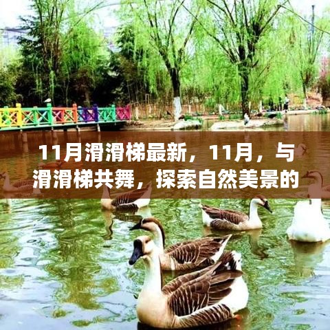 11月滑滑梯之旅，与自然美景共舞，开启治愈之旅