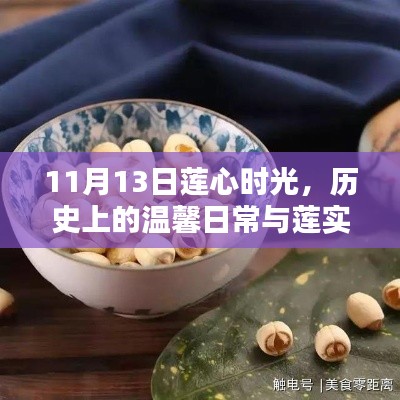 11月13日莲心时光，历史上的温馨日常与莲实新篇章