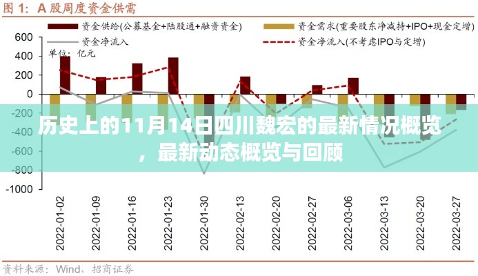 历史上的11月14日四川魏宏的最新情况概览，最新动态概览与回顾