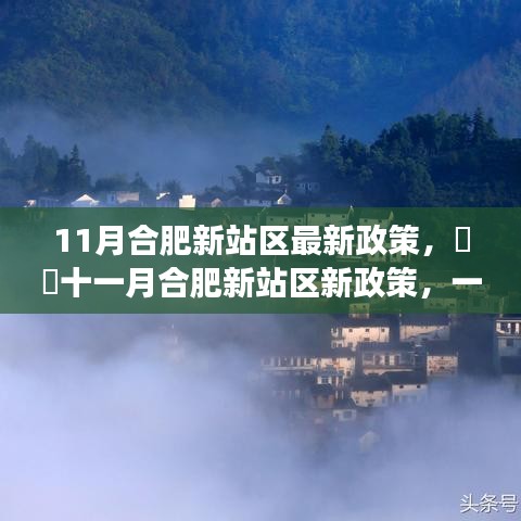 合肥新站区十一月最新政策，自然美景的心灵之旅启程！