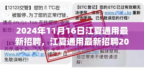 江夏通用最新招聘测评报告，深度解析与测评结果展示（2024年11月版）