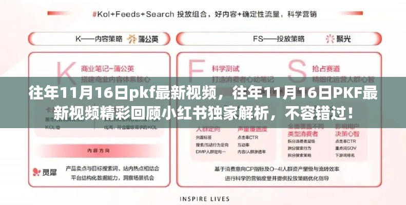 往年11月16日PKF最新视频精彩回顾与独家解析，小红书不容错过！