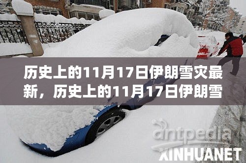 历史上的11月17日伊朗雪灾事件深度解析，影响与最新视角探讨