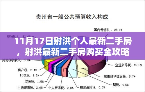 射洪最新二手房购买指南，从入门到签约的详细步骤攻略（适用于初学者与进阶用户）