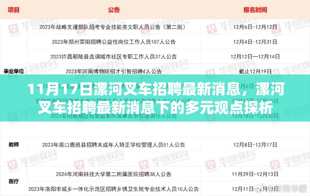 11月17日漯河叉车招聘最新消息及其多元观点探析