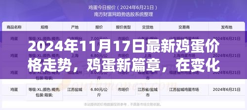 2024年11月17日最新鸡蛋价格走势，鸡蛋新篇章，在变化中找寻自信与成就感的励志之旅