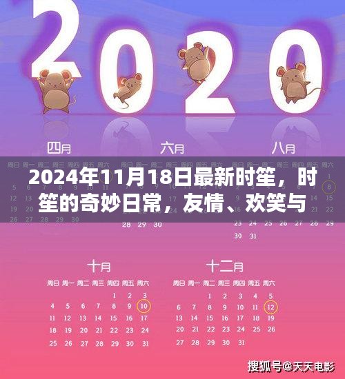 时笙的奇妙日常，友情、欢笑与温馨时光（2024年11月18日最新）