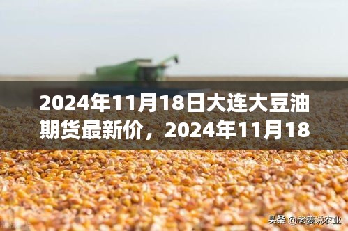 2024年11月18日大连大豆油期货动态与心灵之旅体验报告