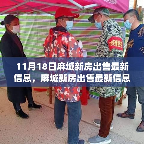 麻城新房最新出售信息及分析，市场态势与个人立场探讨