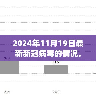 新冠病毒最新态势深度解析，从某某观点看，2024年11月19日的疫情进展报告