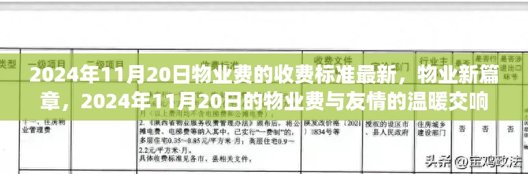 物业新篇章，物业费最新收费标准与友情的温暖交响（2024年11月20日）