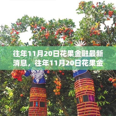 花果金融最新动态与发展态势透视，各方观点一览