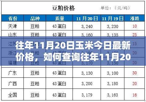 往年11月20日玉米价格详解，查询步骤及最新行情指南