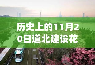 历史上的11月20日，道北建设花园项目最新进展深度解析与消息汇总