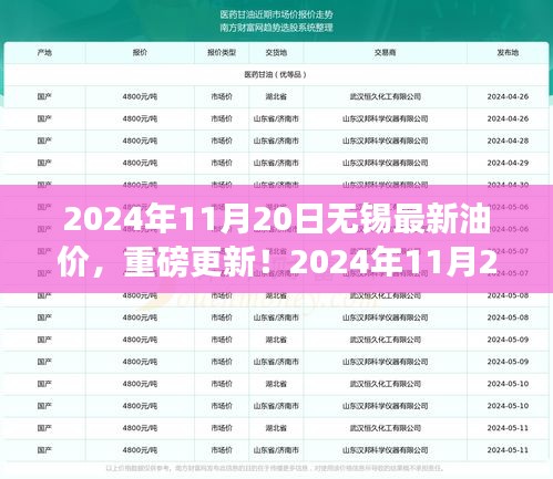 2024年11月20日无锡油价动态解析，最新油价信息及全面解读