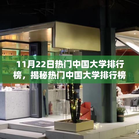 热门中国大学排行榜发布，探索小巷深处的特色小店与独特环境