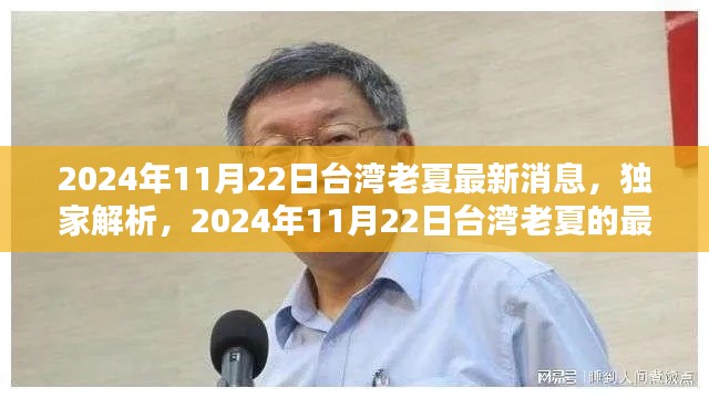 独家解析，台湾老夏最新动态及影响——2024年11月22日最新消息揭秘