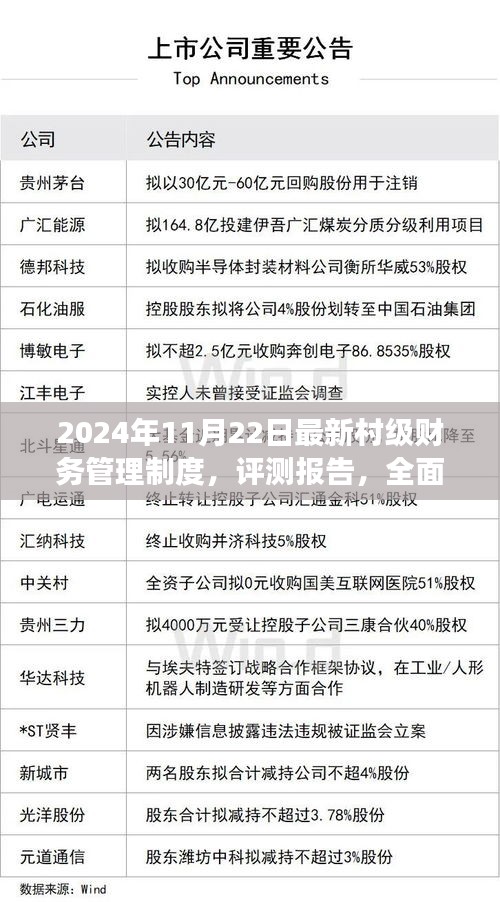 全面解读与评测报告，2024年最新村级财务管理制度解析及实施情况分析