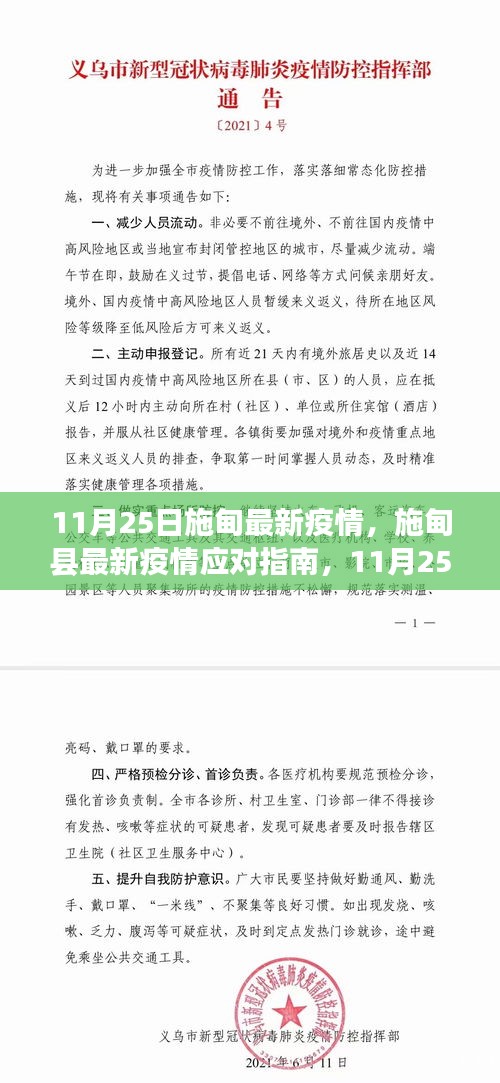 施甸县疫情应对指南，最新疫情动态与防疫建议（初学者与进阶用户参考版，11月25日更新）