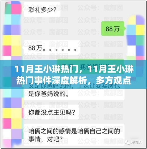 11月王小琳热门事件全解析，多方观点碰撞与个人立场阐述