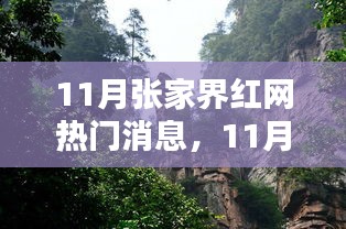 张家界红网最新资讯全攻略，掌握十一月热门消息