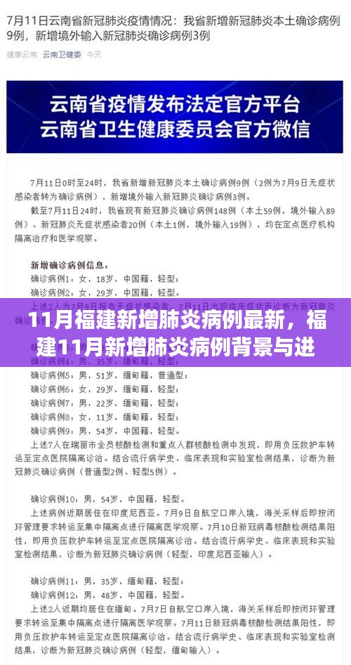 福建11月新增肺炎病例背景与进展，时代背景下的抗疫新篇章更新报告