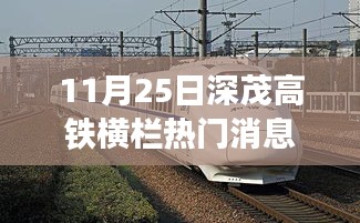 11月25日深茂高铁横栏热门消息，深茂高铁上的温馨奇遇，11月25日的横栏车站趣事