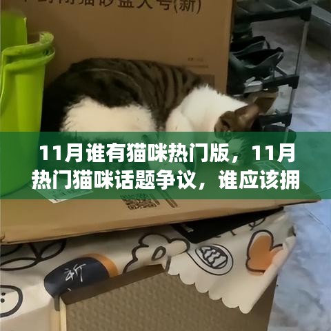 11月热门猫咪话题争议，谁应该获得猫咪的宠爱？