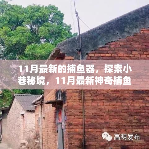 11月最新神奇捕鱼器，小巷秘境的独特体验