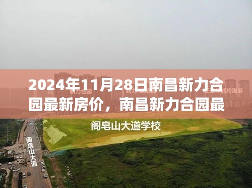 南昌新力合园最新房价动态，学习变化的力量，成就梦想舞台的房价展望（2024年11月28日）