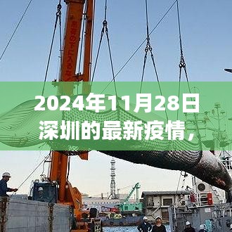 深圳疫情下的自然探索之旅，寻找内心的宁静与微笑的力量（2024年11月疫情最新报道）