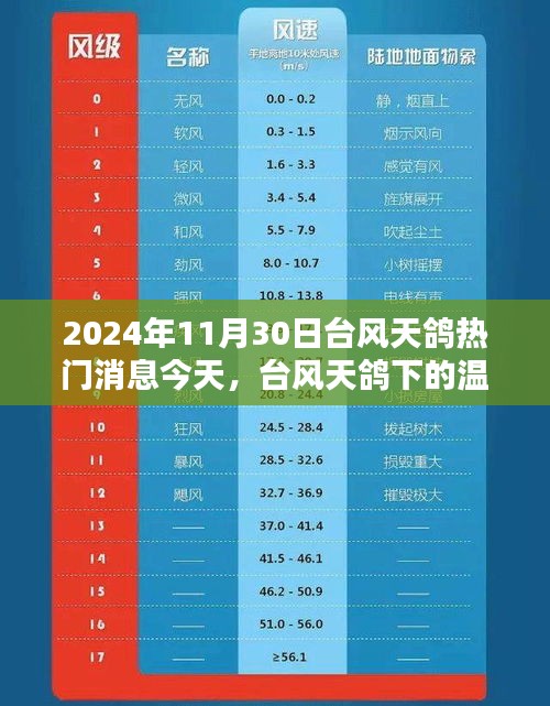 台风天鸽下的温馨日常，与好友共度风雨时光（2024年11月30日）