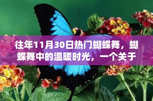 往年蝴蝶舞盛宴，友情与陪伴的温暖时光故事