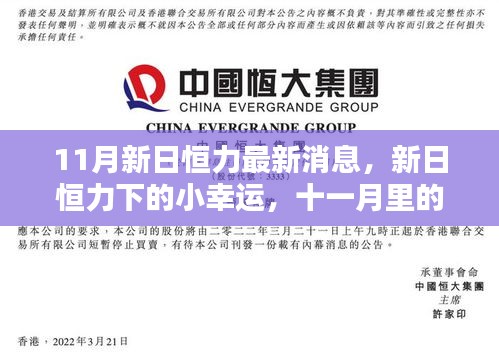 新日恒力最新动态，十一月温暖时光中的小幸运