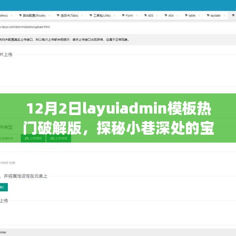 揭秘layuiadmin模板破解版背后的犯罪世界，小巷深处的神秘宝藏与违法小店的秘密曝光