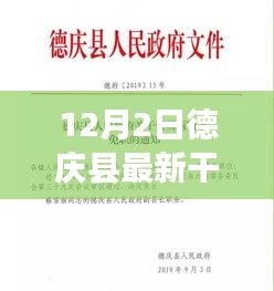 德庆县最新干部任命动态，新任命的视角与解读