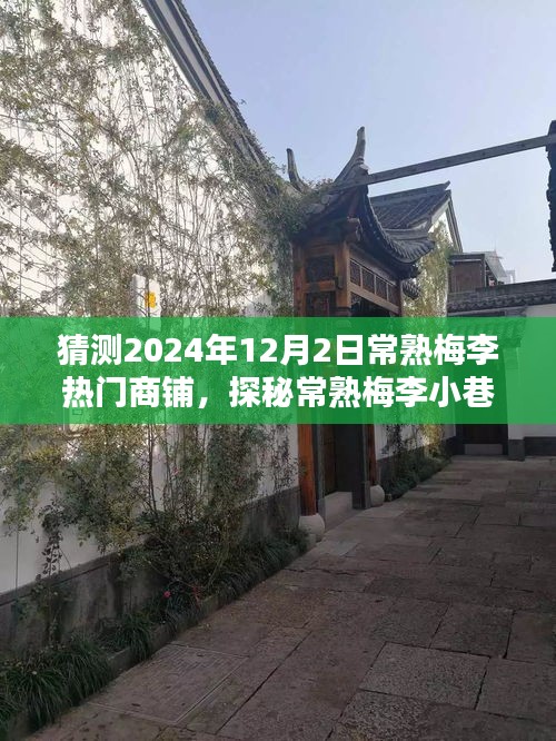 探秘常熟梅李小巷，揭秘未来热门商铺传奇，预测2024年最火爆商铺探秘之旅