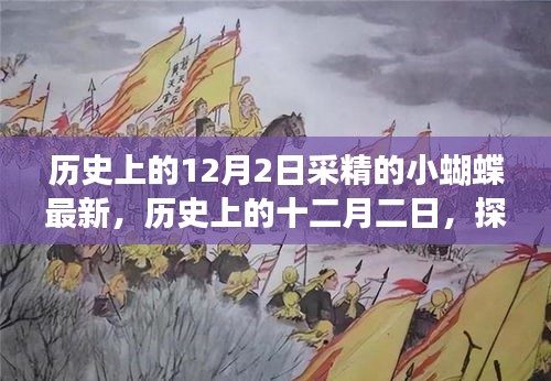 历史上的十二月二日，探寻小蝴蝶采精奇妙之旅的揭秘时刻