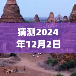 温馨探秘之旅，寻找千百橹最新网址，预测未来之门开启于2024年12月2日