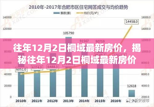 揭秘往年12月2日桐域最新房价与小巷深处的独特小店探秘之旅