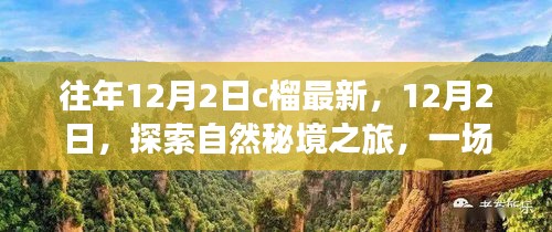 12月2日自然秘境探索之旅，内心平静的奇妙冒险