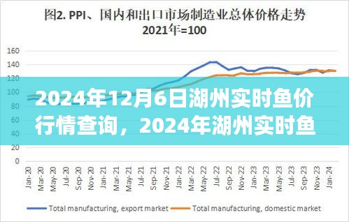 湖州实时鱼价行情查询指南，入门到精通（2024年）