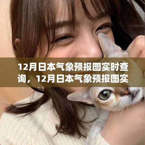 日本气象预报图实时查询产品评测与介绍，全面解读日本气象预报图实时查询功能