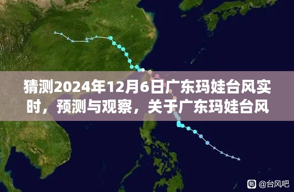 广东玛娃台风实时动态预测与观察，关于2024年12月6日的实时动态分析